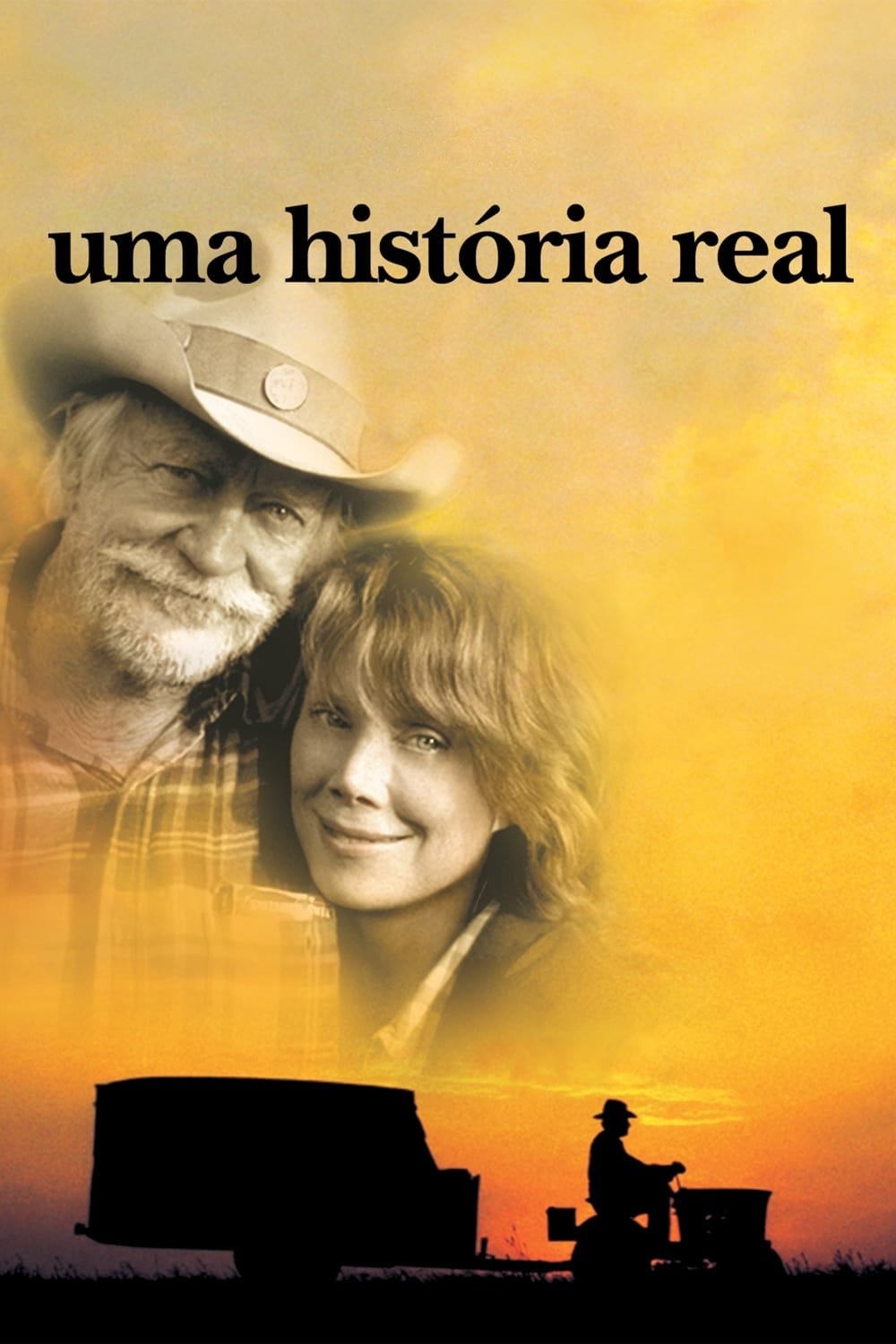 Poster de Uma História Real
