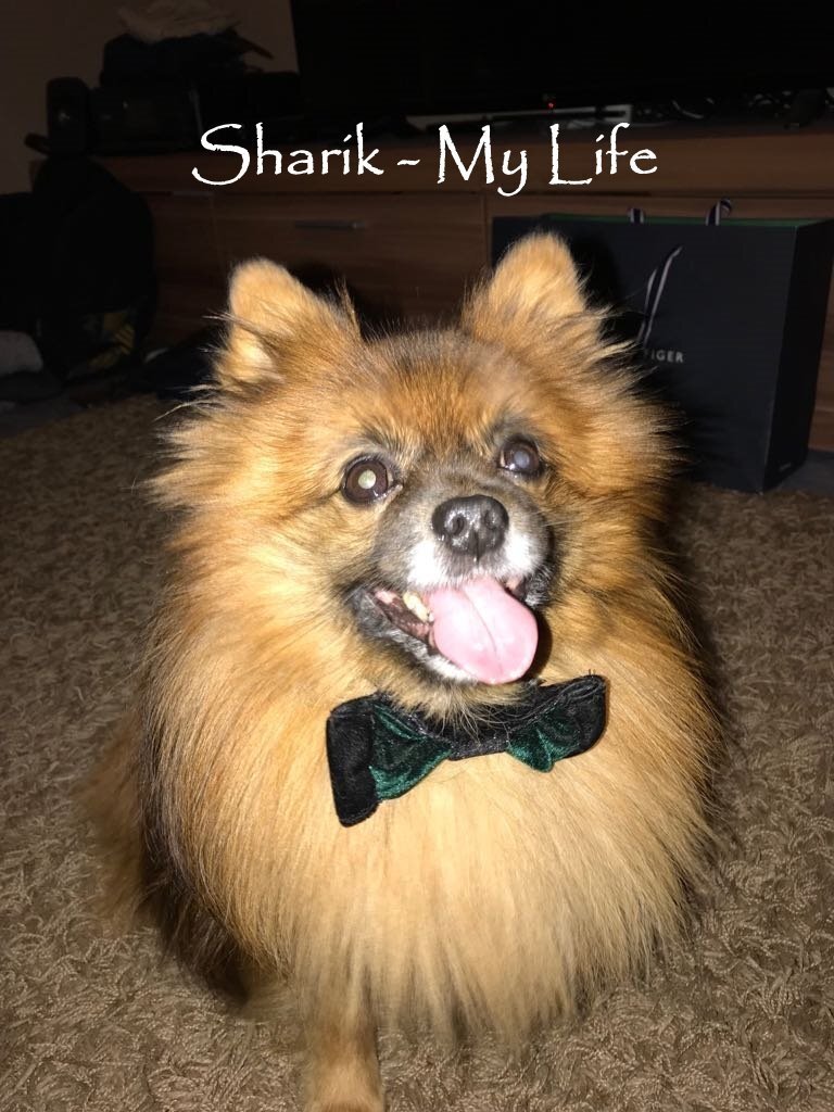 https://image.tmdb.org/t/p/original//mYKhrRNKmqsIvNwQq1RkLaAPYpX.jpg