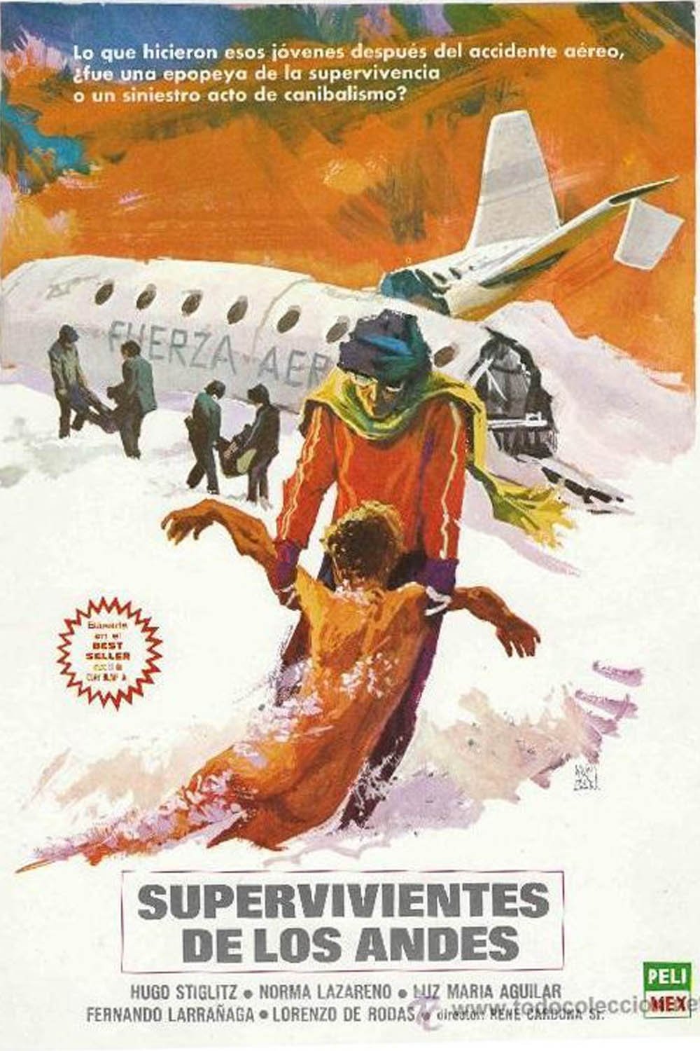 Poster de Sobreviventes dos Andes