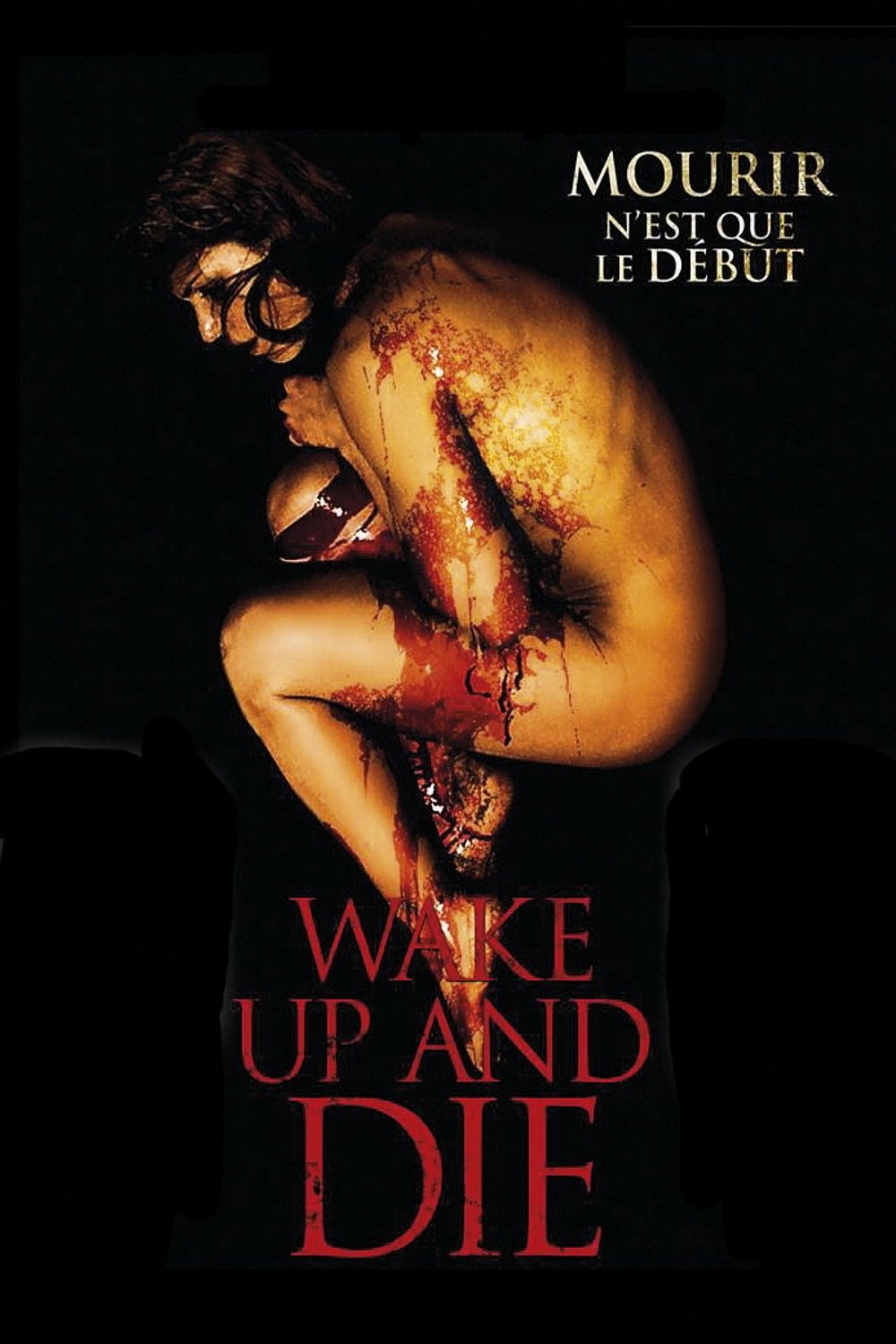 Poster de Volver a morir