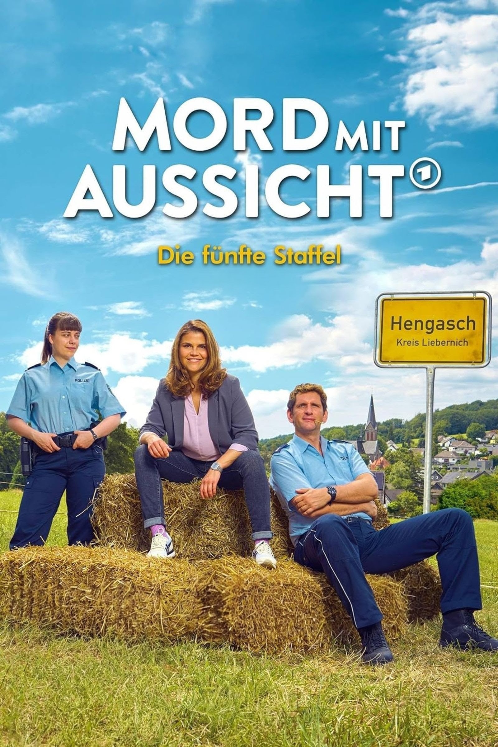 Poster de Temporada 5