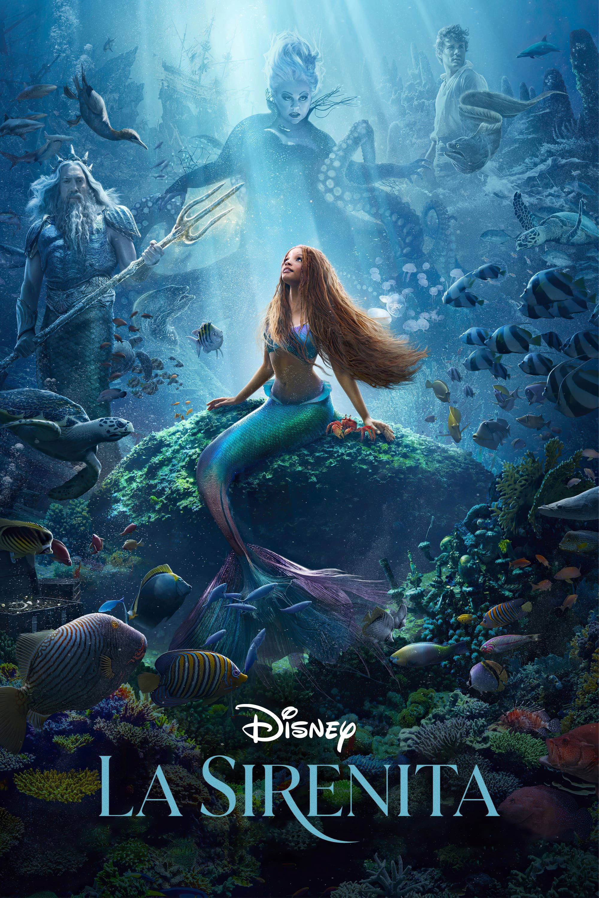 The Little Mermaid poster The Little Mermaid poster