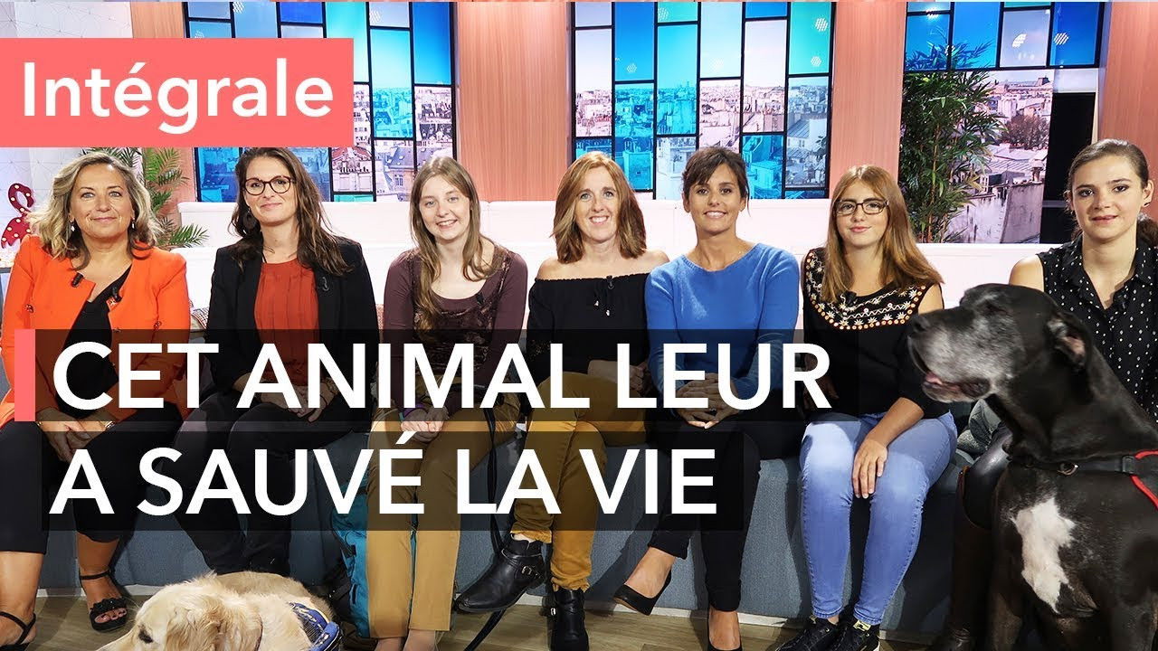 What is horse therapy?