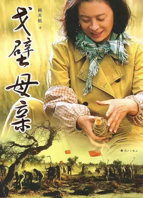 Poster de 戈壁母亲