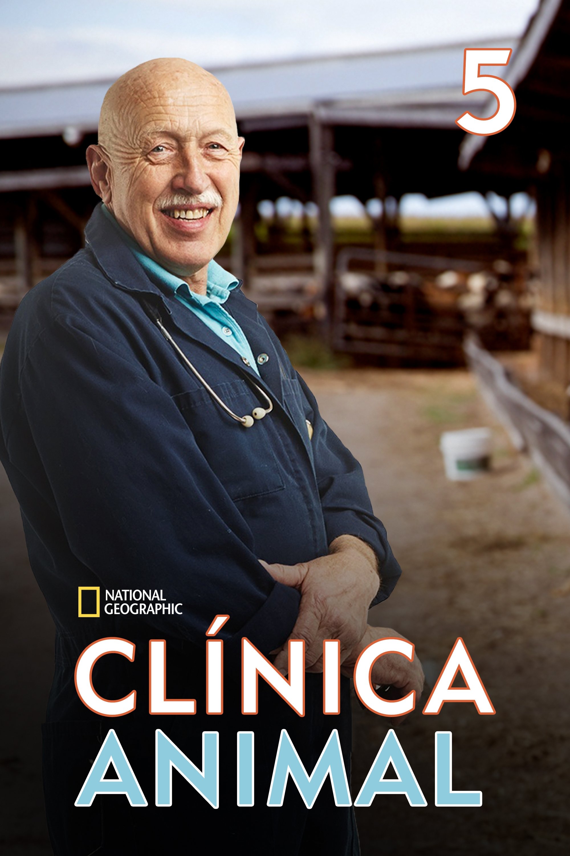 Poster de Temporada 5