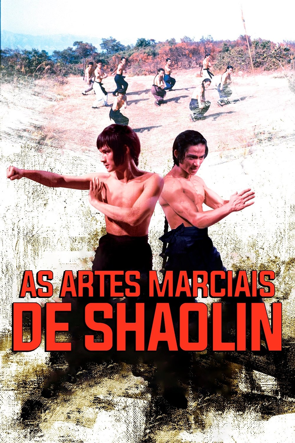Poster de As Artes Marciais de Shaolin