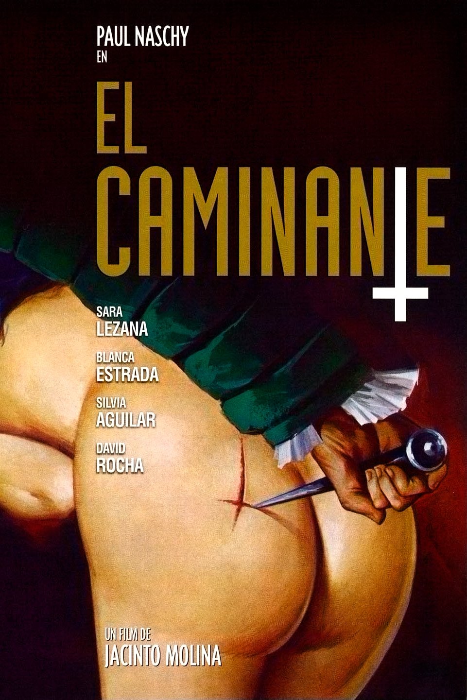 Poster de El caminante