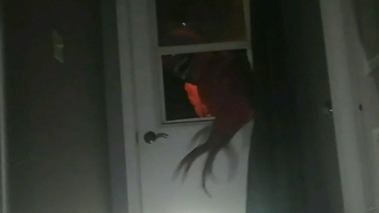 Mimic defense instructional tape