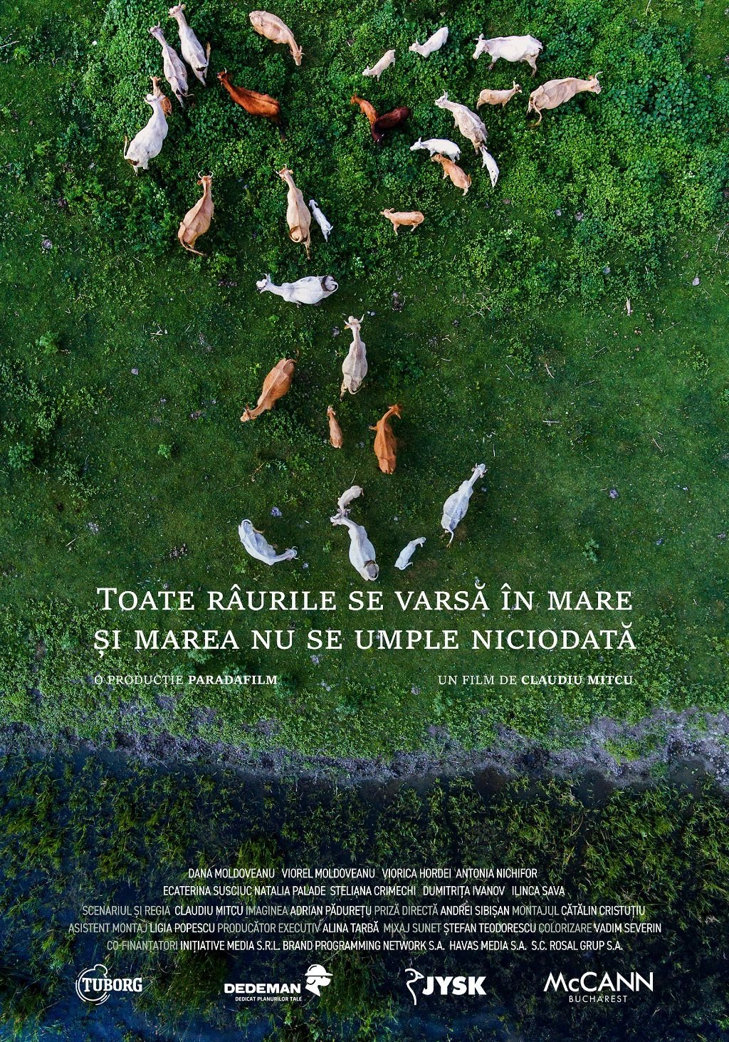 Poster de Toate râurile se varsă în mare și marea nu se umple niciodată