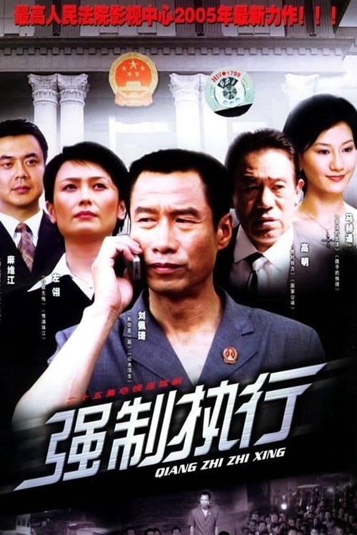 Poster de 强制执行