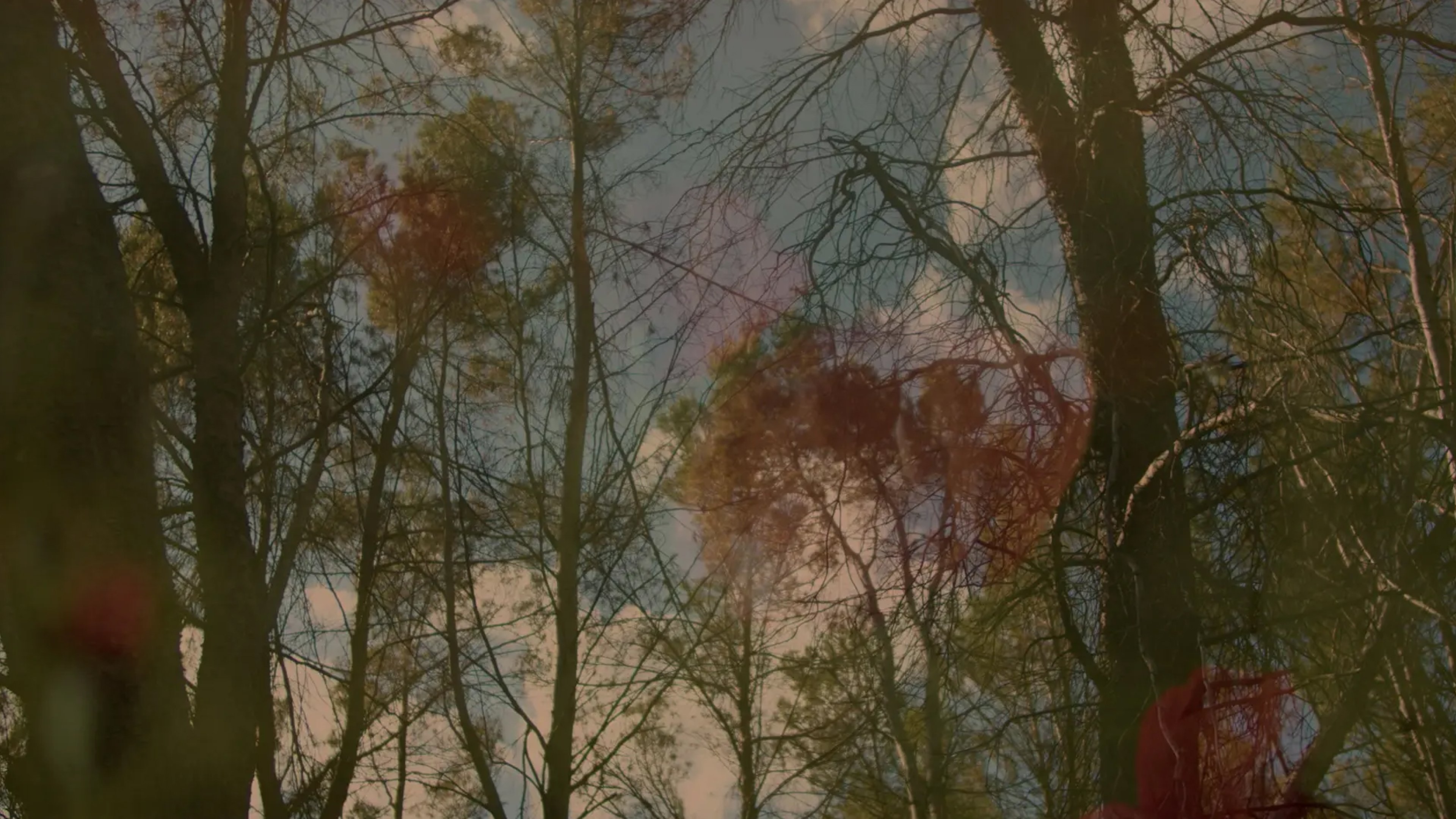 Marina Esteban Marín