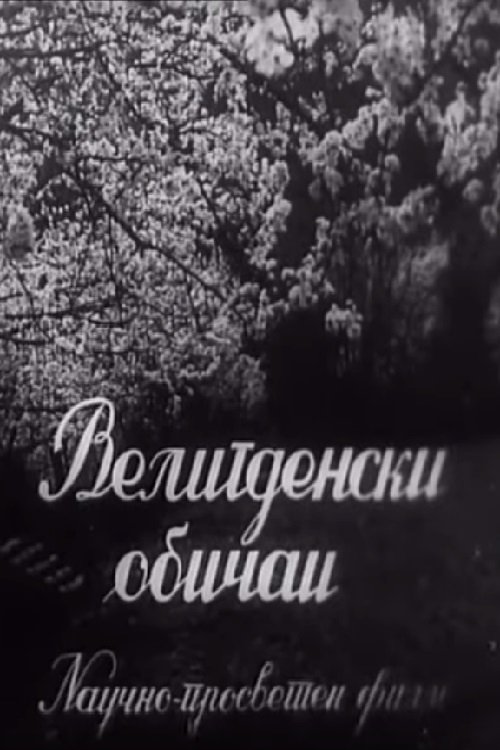 Poster de Велигденски обичаи