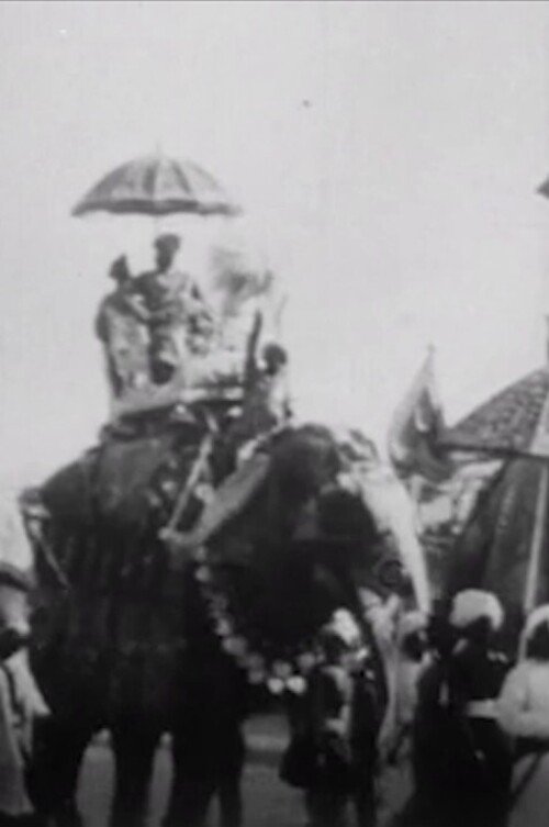 Poster de Procession of Elephants with Howdahs - India