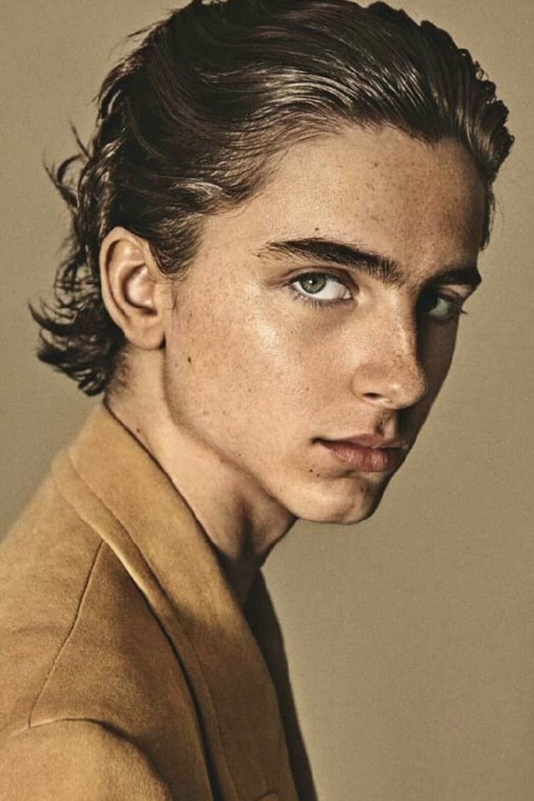 Foto de Timothée Chalamet