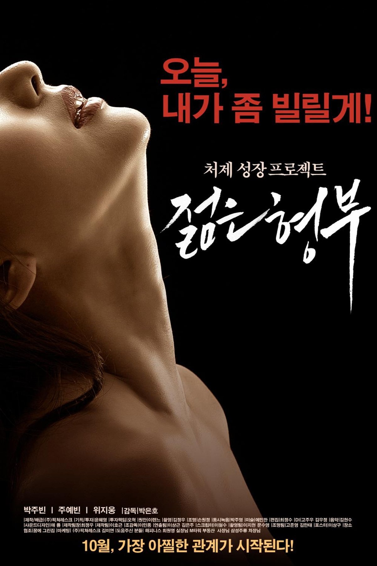 Poster de 젊은 형부