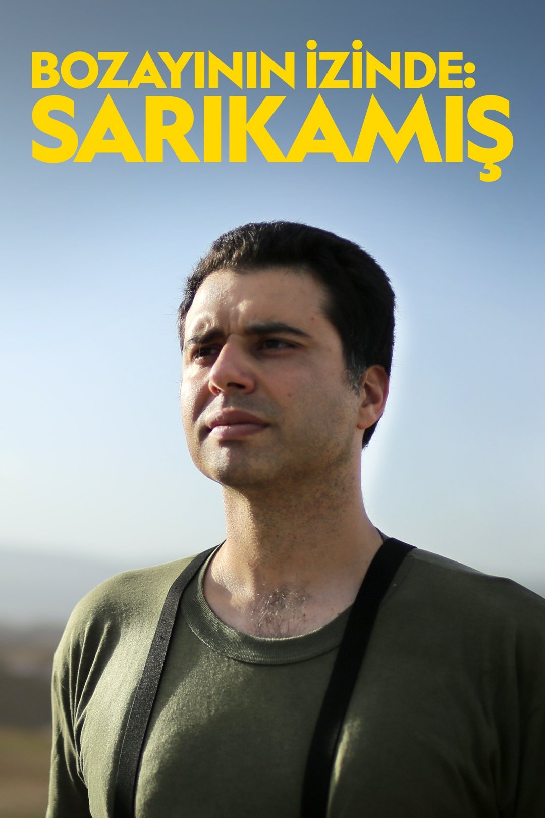 Poster de Bozayının İzinde: Sarıkamış