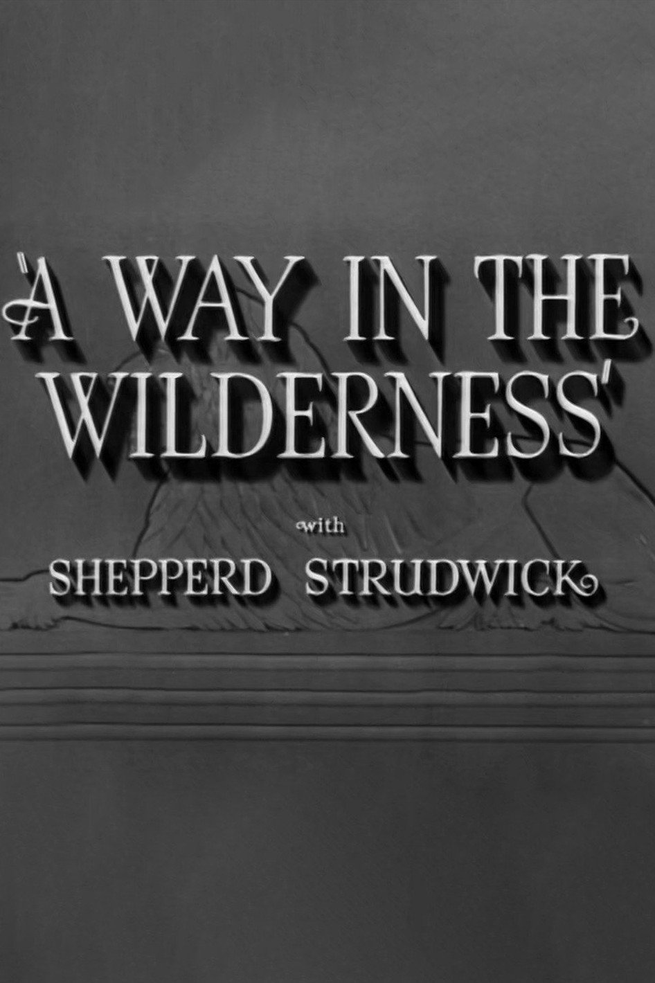 Poster de A Way in the Wilderness