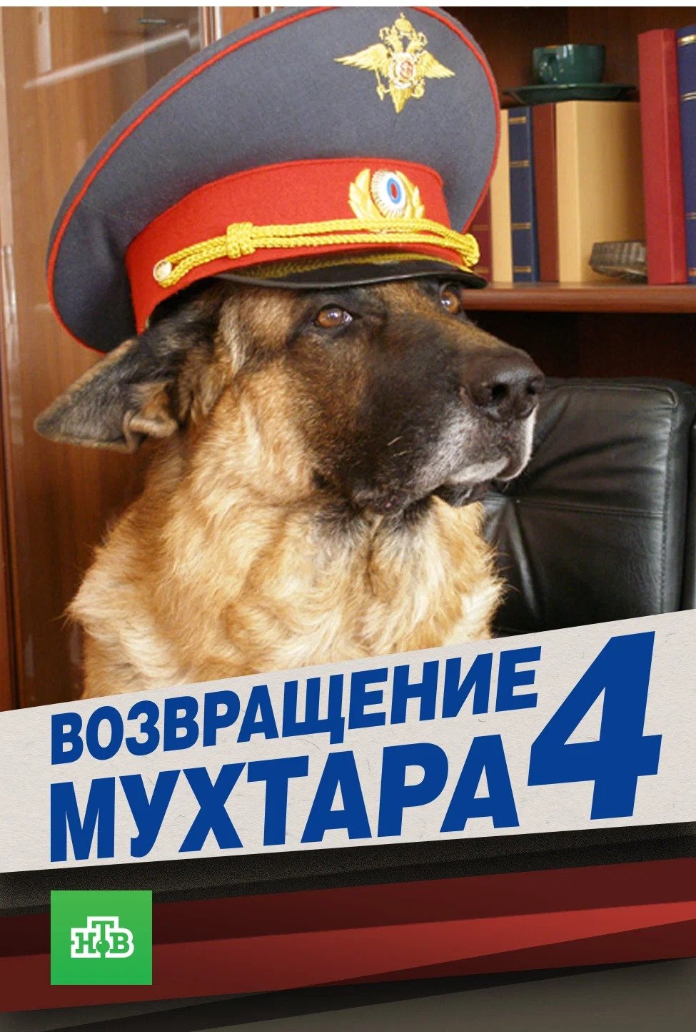 Poster de Temporada 4