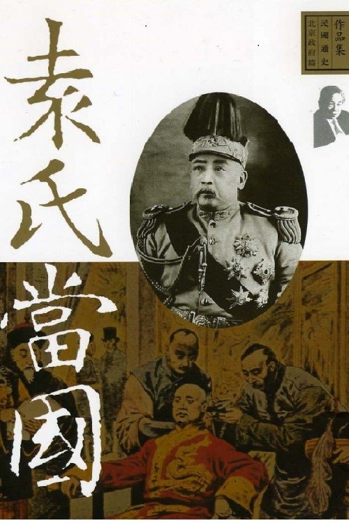 Poster de 袁氏当国