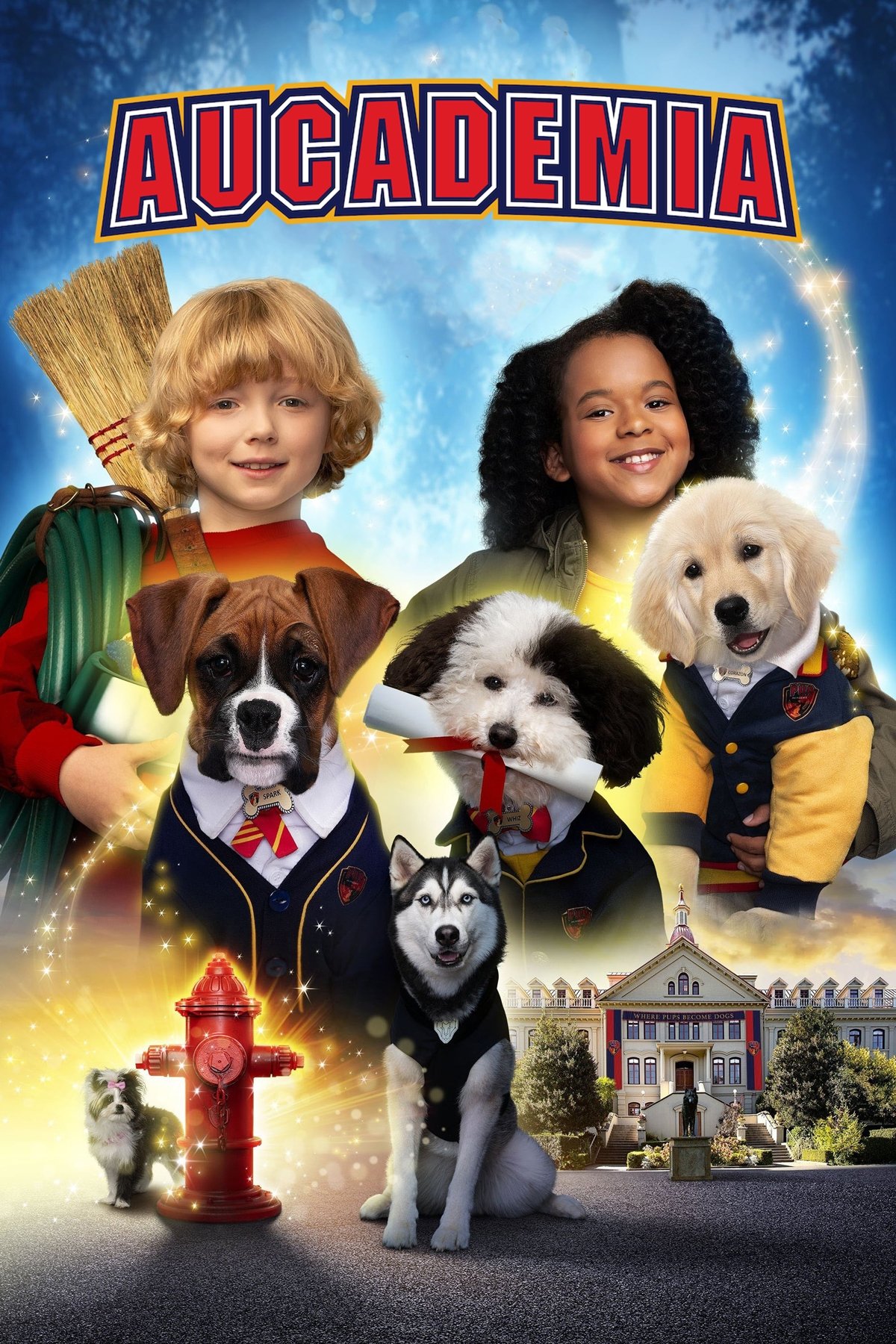 Poster de Aucademia