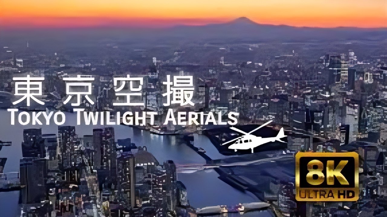 Virtual Trip: Tokyo Twilight from the Air