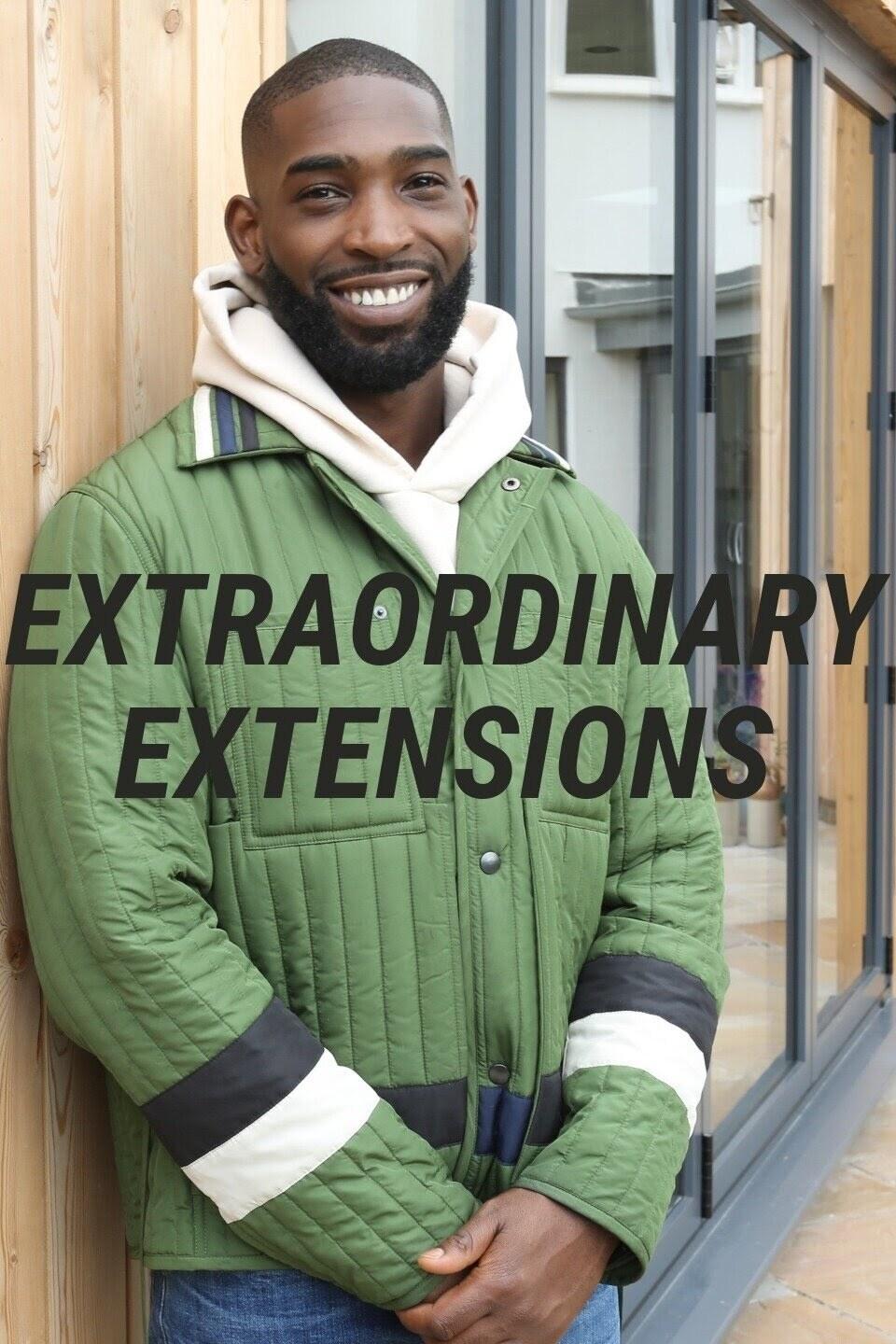 Poster de Extraordinary Extensions