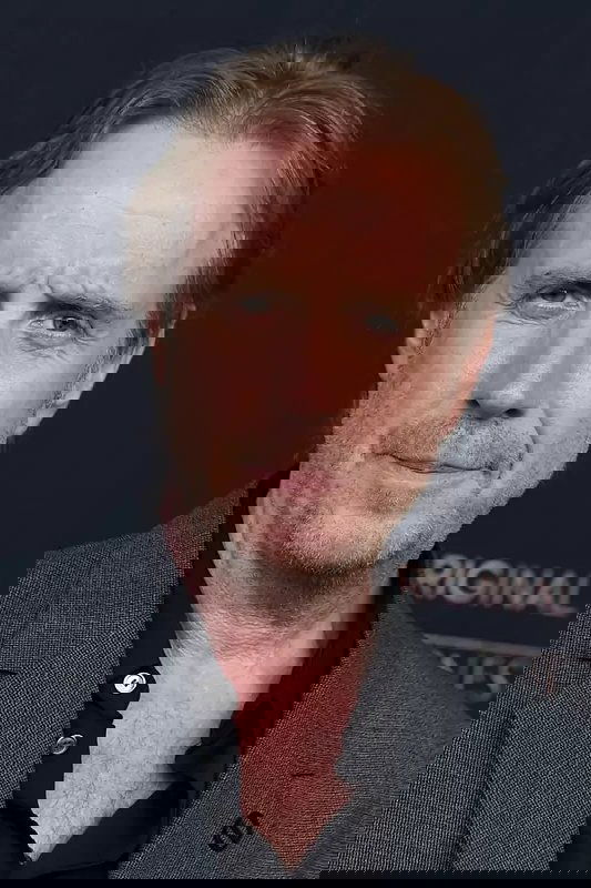 Foto de Rhys Ifans
