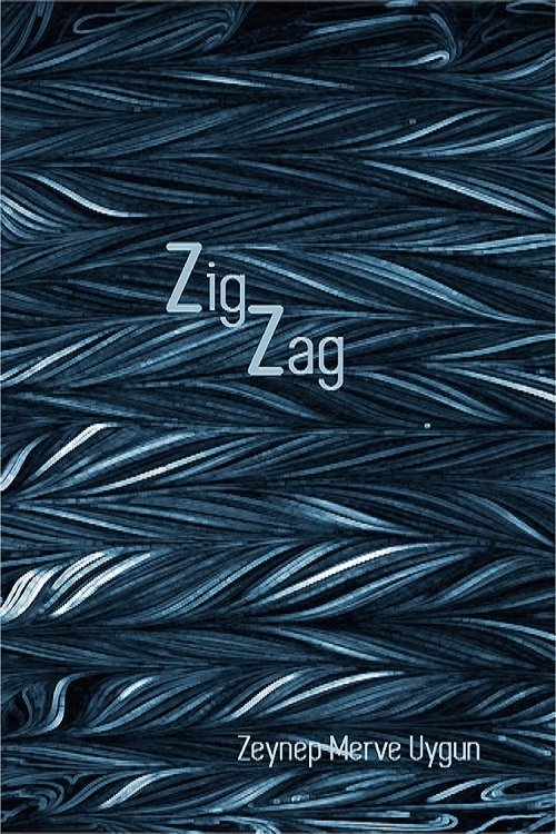 Poster de ZigZag