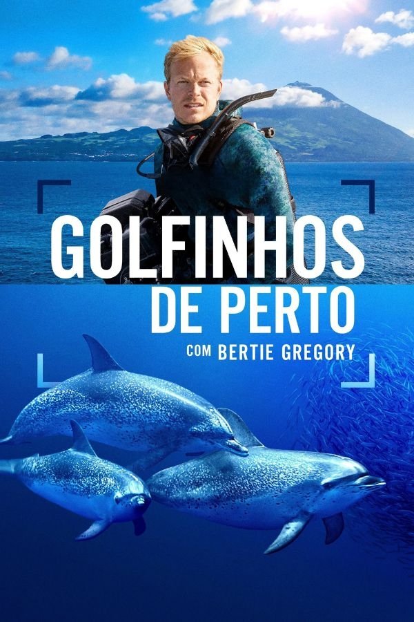 Poster de Golfinhos de Perto com Bertie Gregory