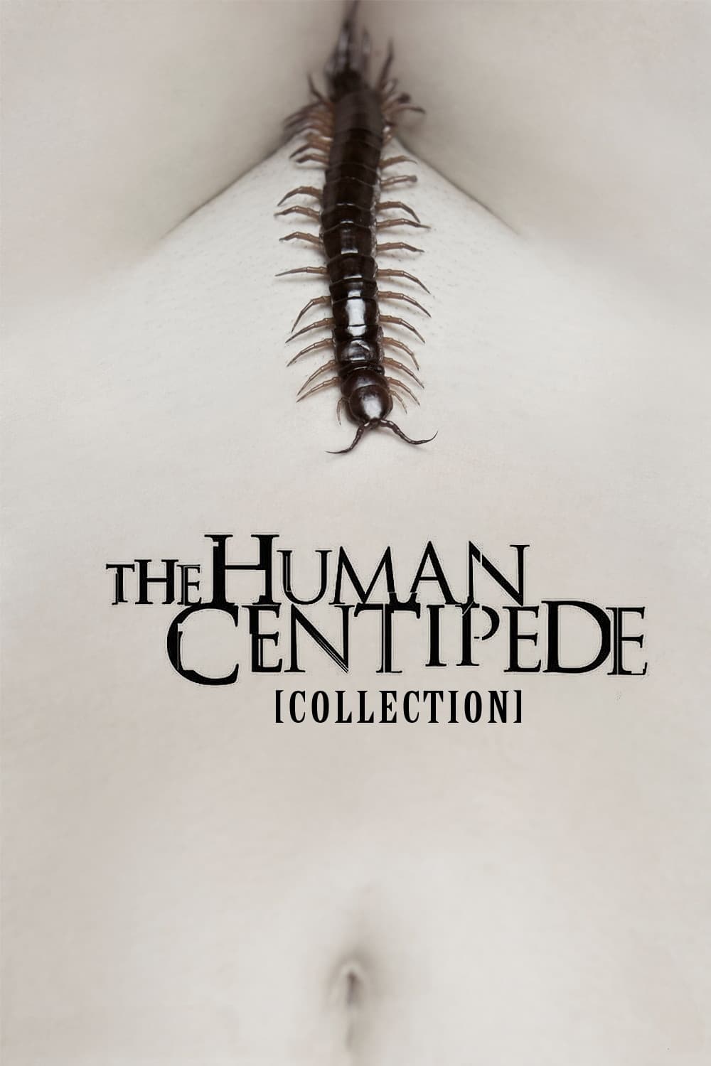 Fiche et filmographie de The Human Centipede Collection