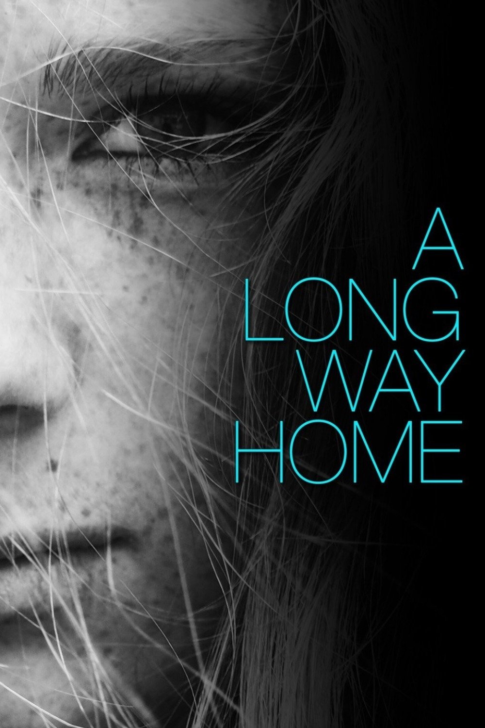 Poster de A Long Way Home