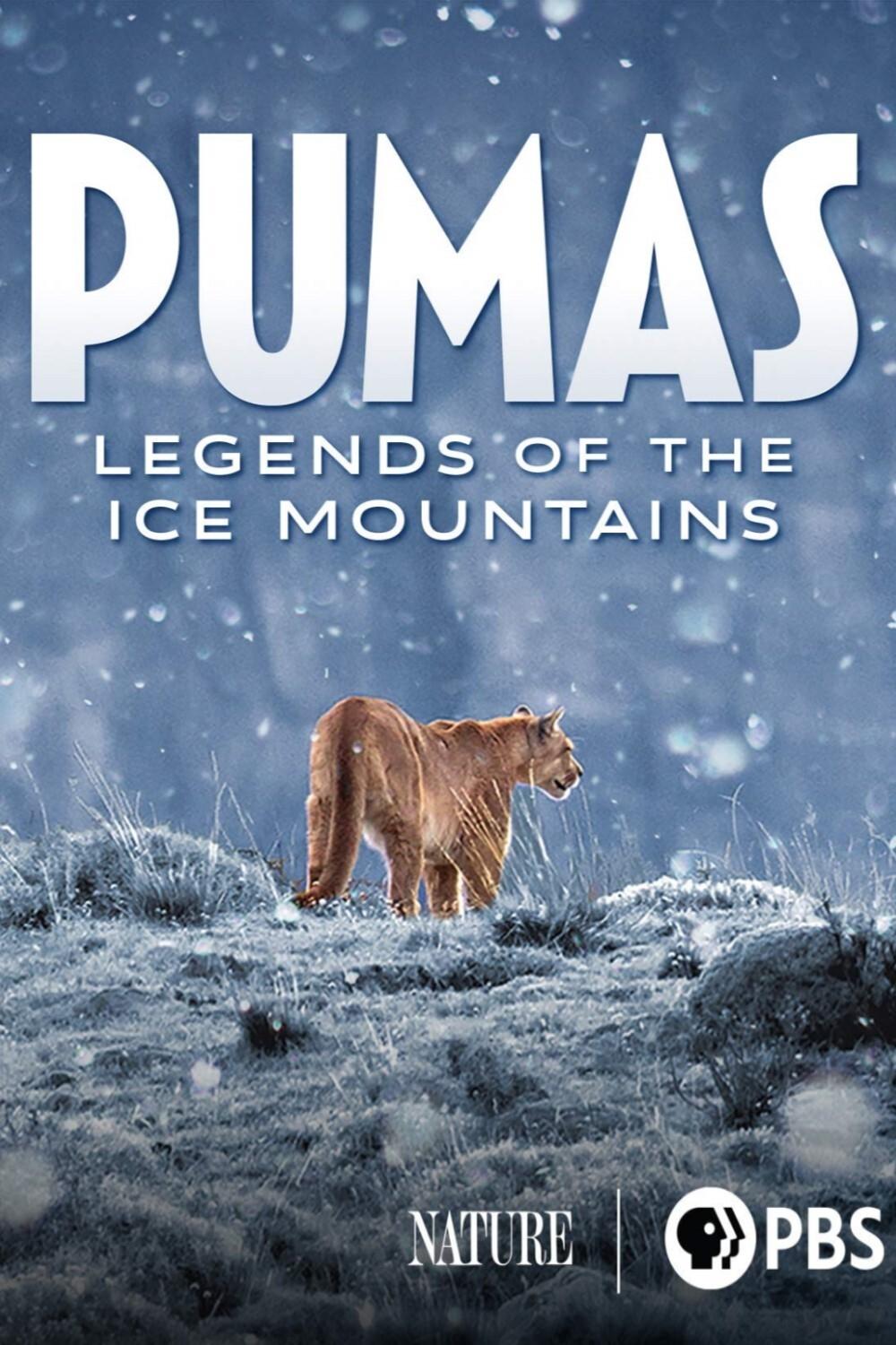 Poster de Pumas: Legends of the Ice Mountains
