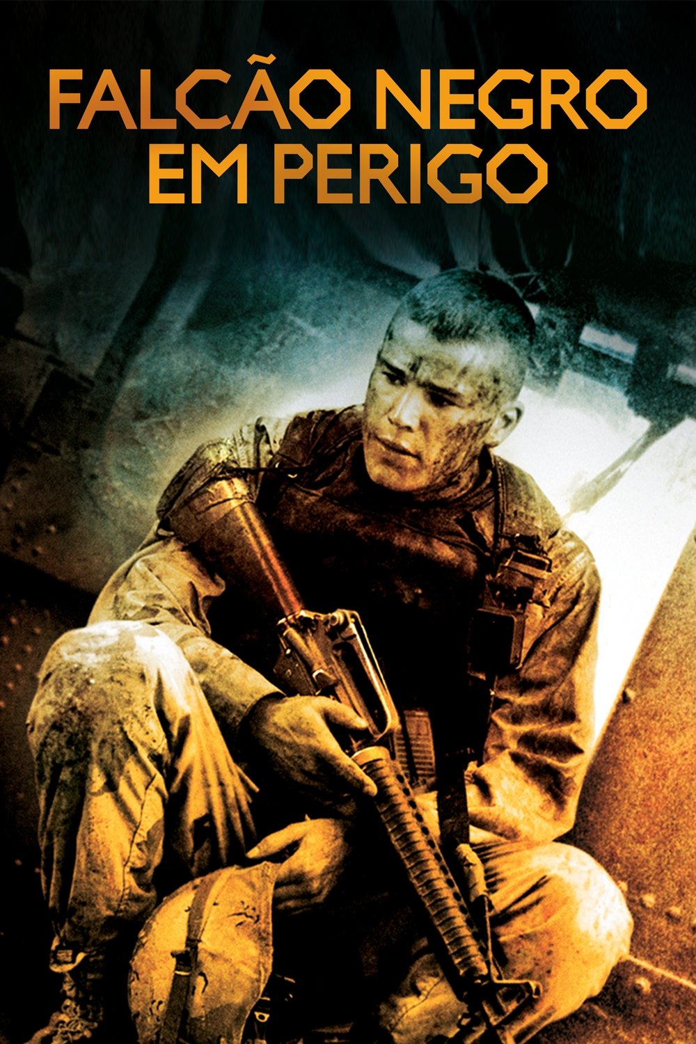 Poster de Falcão Negro em Perigo