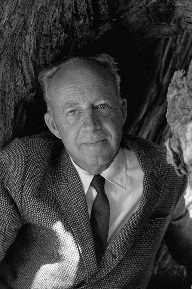 Foto de Willard Van Dyke