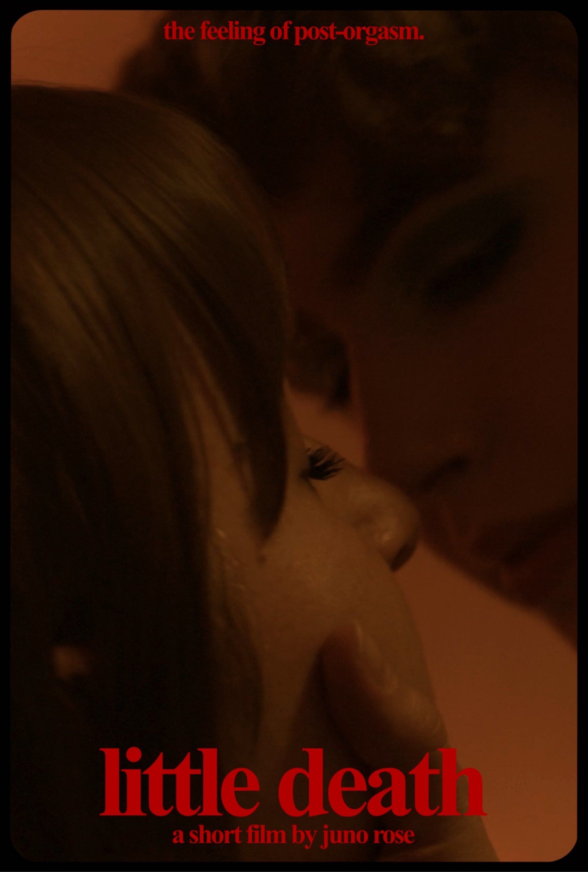 Poster de little death