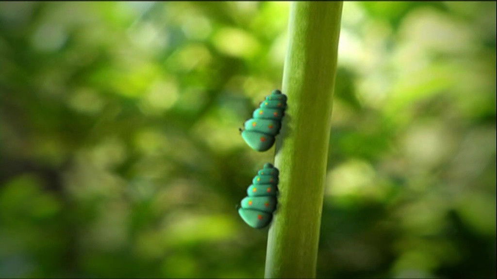 Caterpillars in Pairs