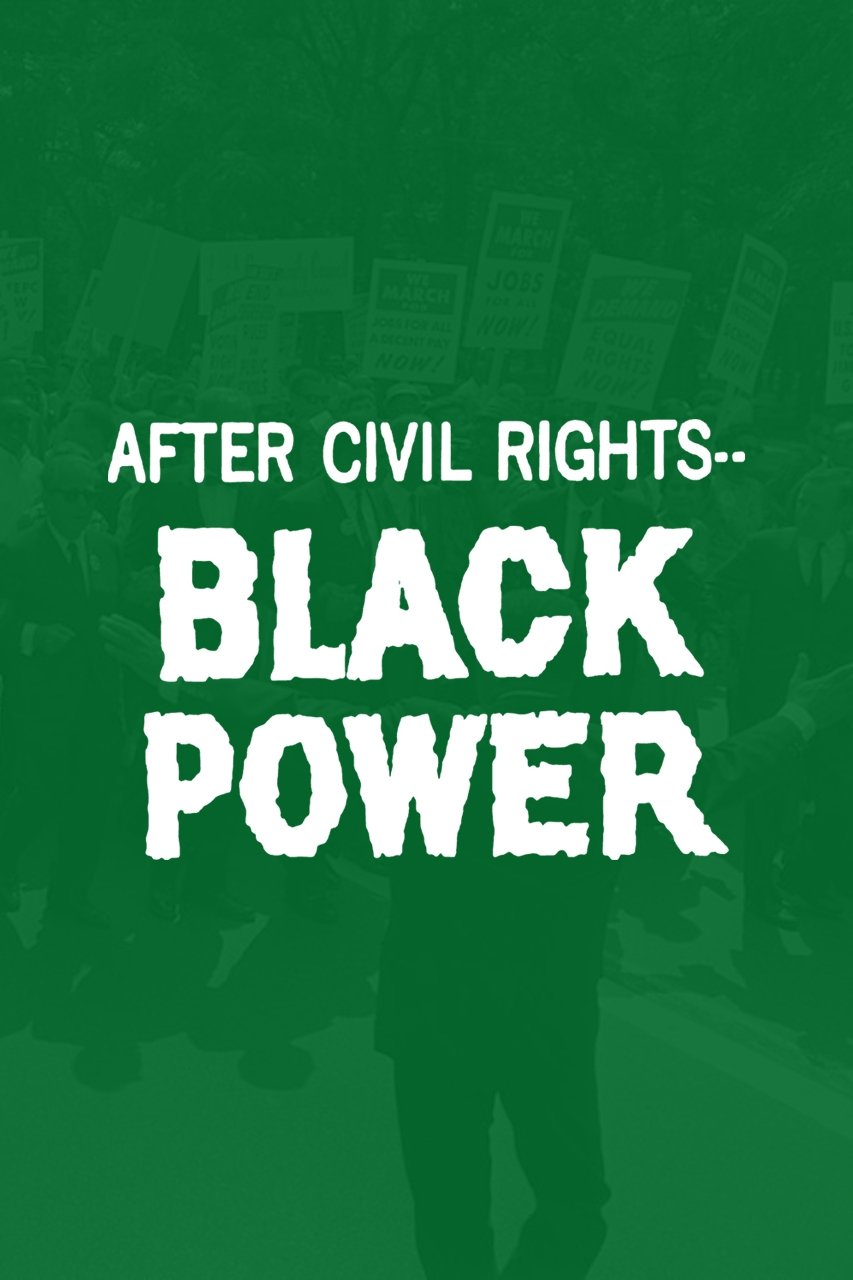 Affiche du film After Civil Rights... Black Power
