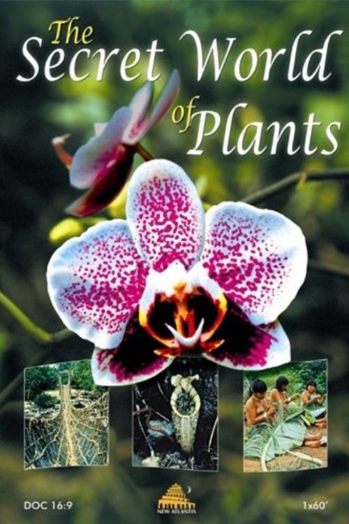 Poster de The Secret World of Plants