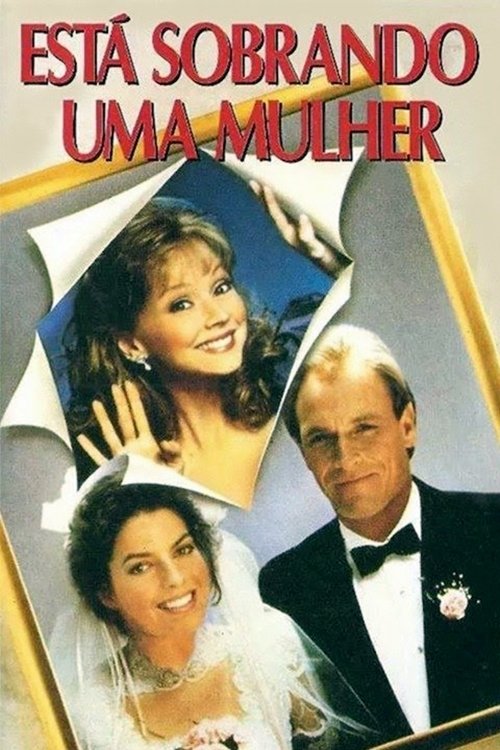Poster de Está Sobrando uma Mulher