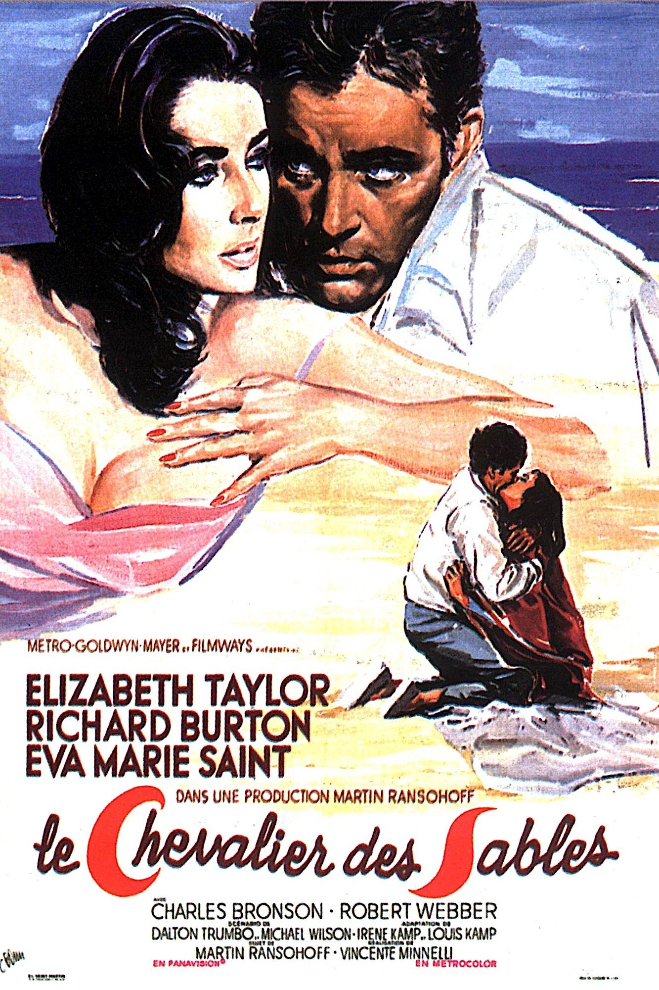 Affiche du film The Sandpiper
