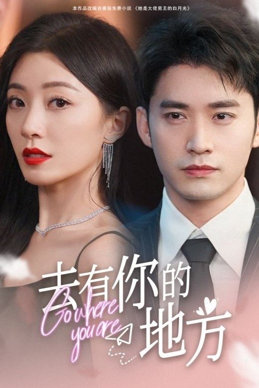 Poster de 去有你的地方