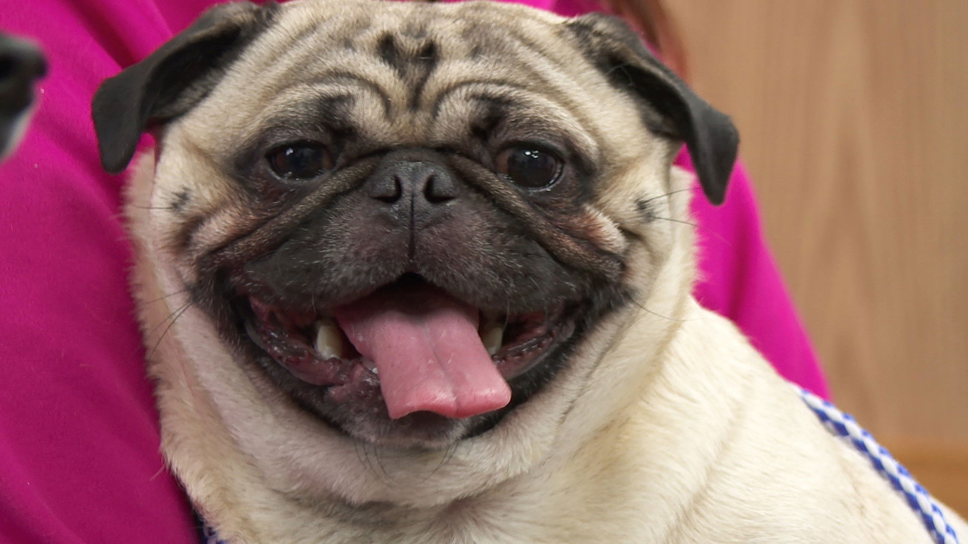 Sprain, Sprain, Go Away