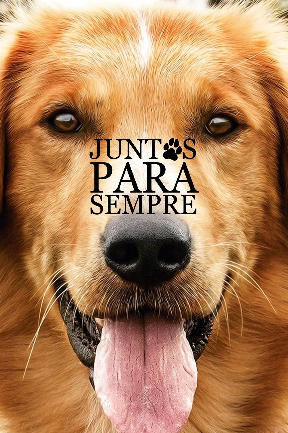Poster de Quatro Vidas de um Cachorro