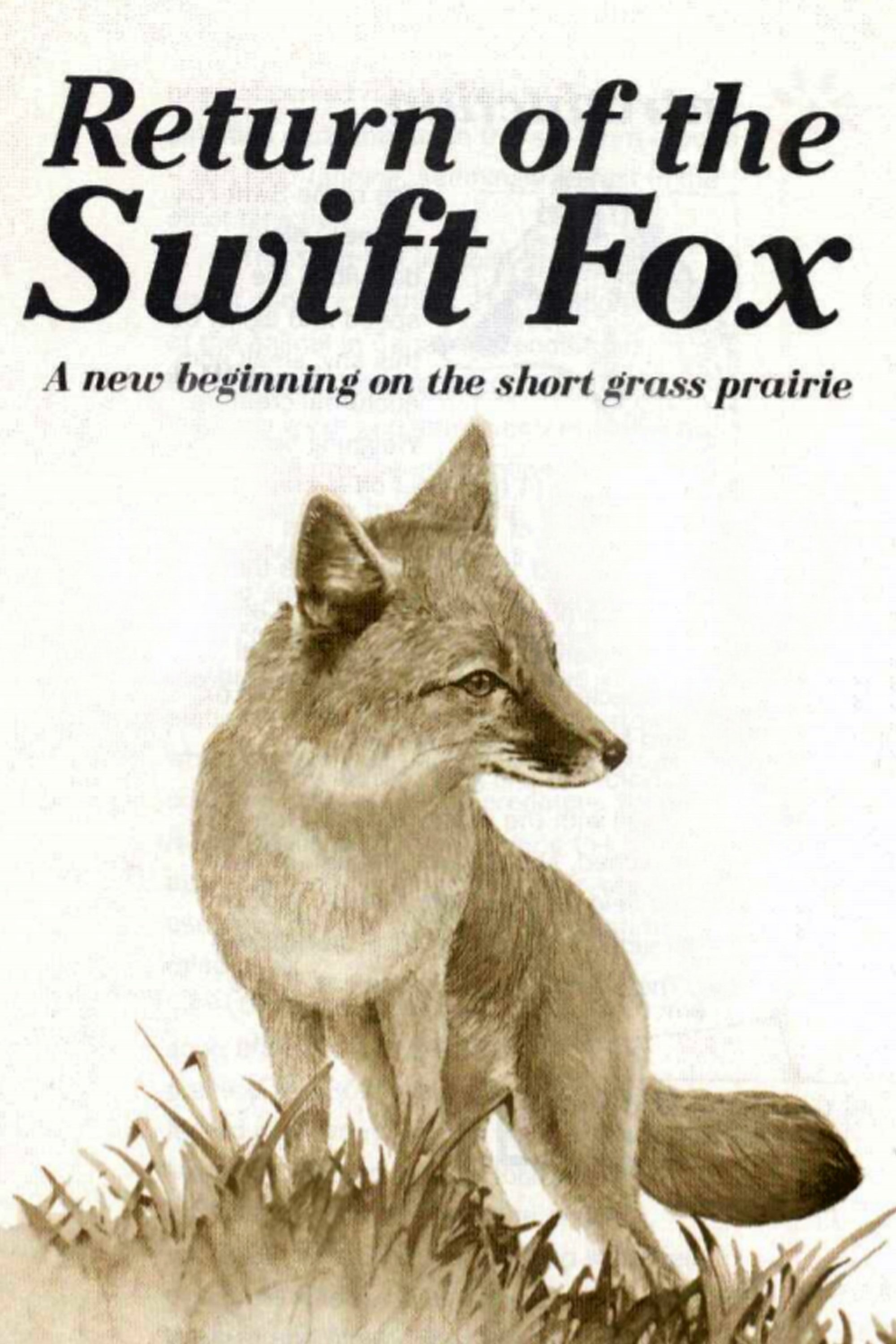 Poster de Return of the Swift Fox