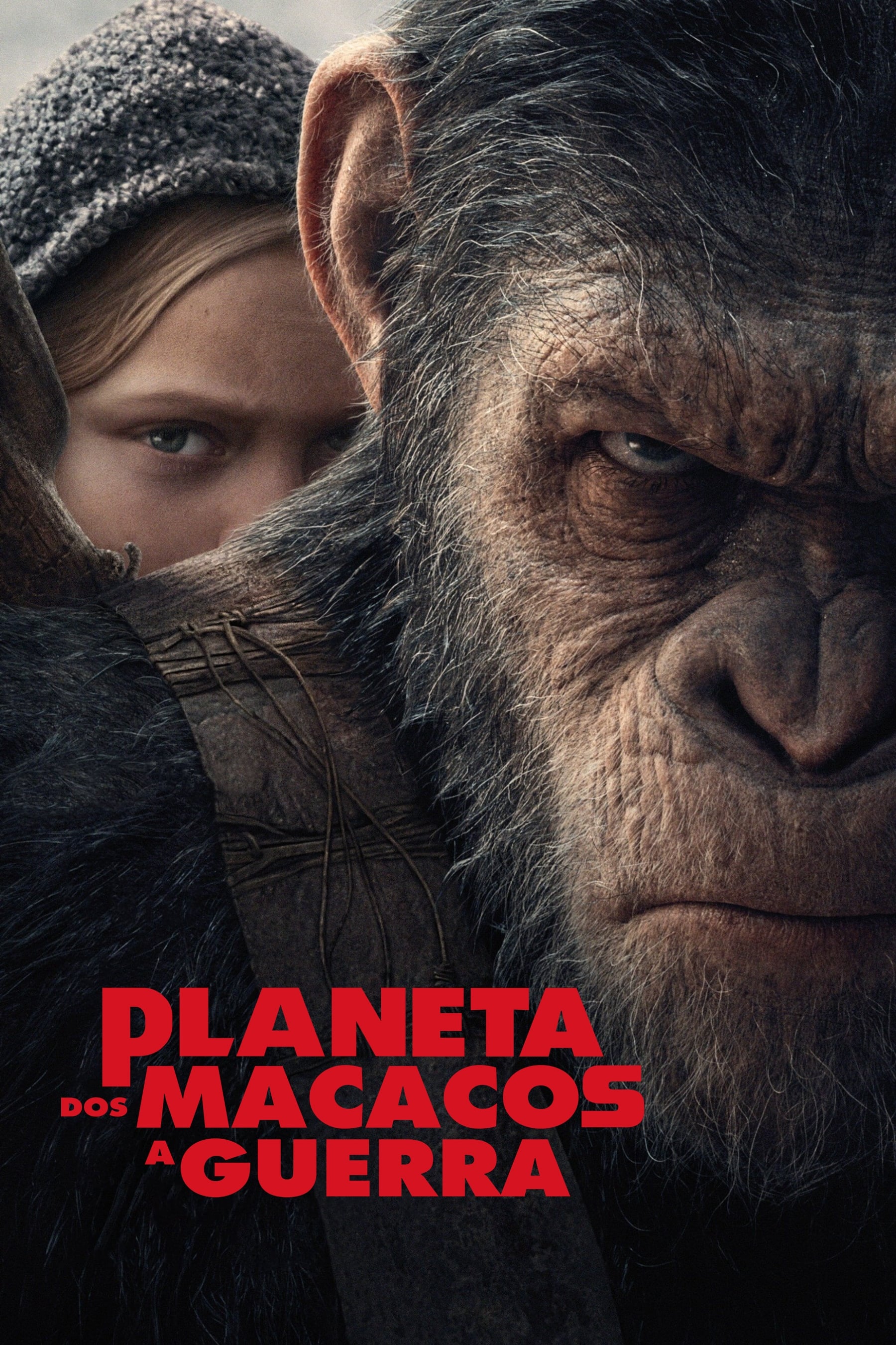 Poster de Planeta dos Macacos: A Guerra