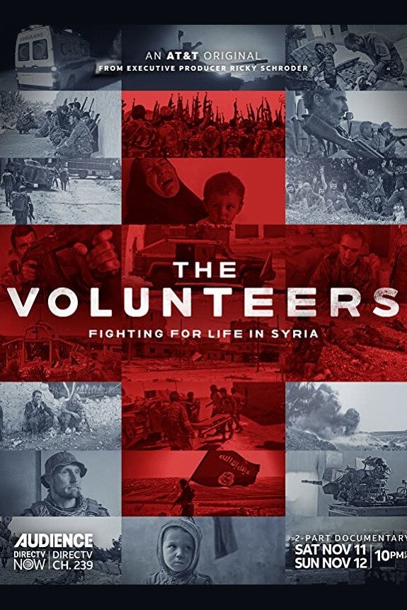 Poster de The Volunteers