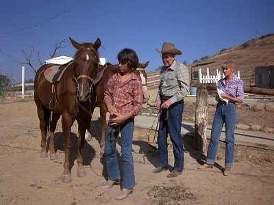 Quincy, M.E. 7×6 – For Want of a Horse
