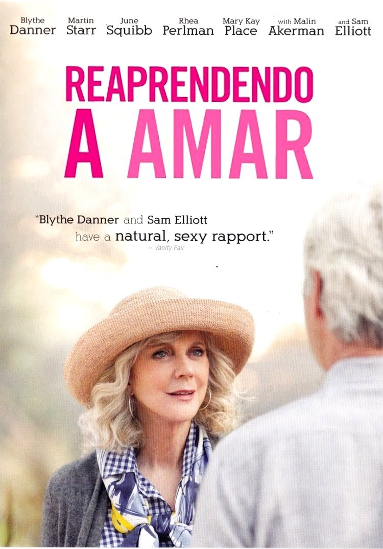 Poster de Reaprendendo a Amar