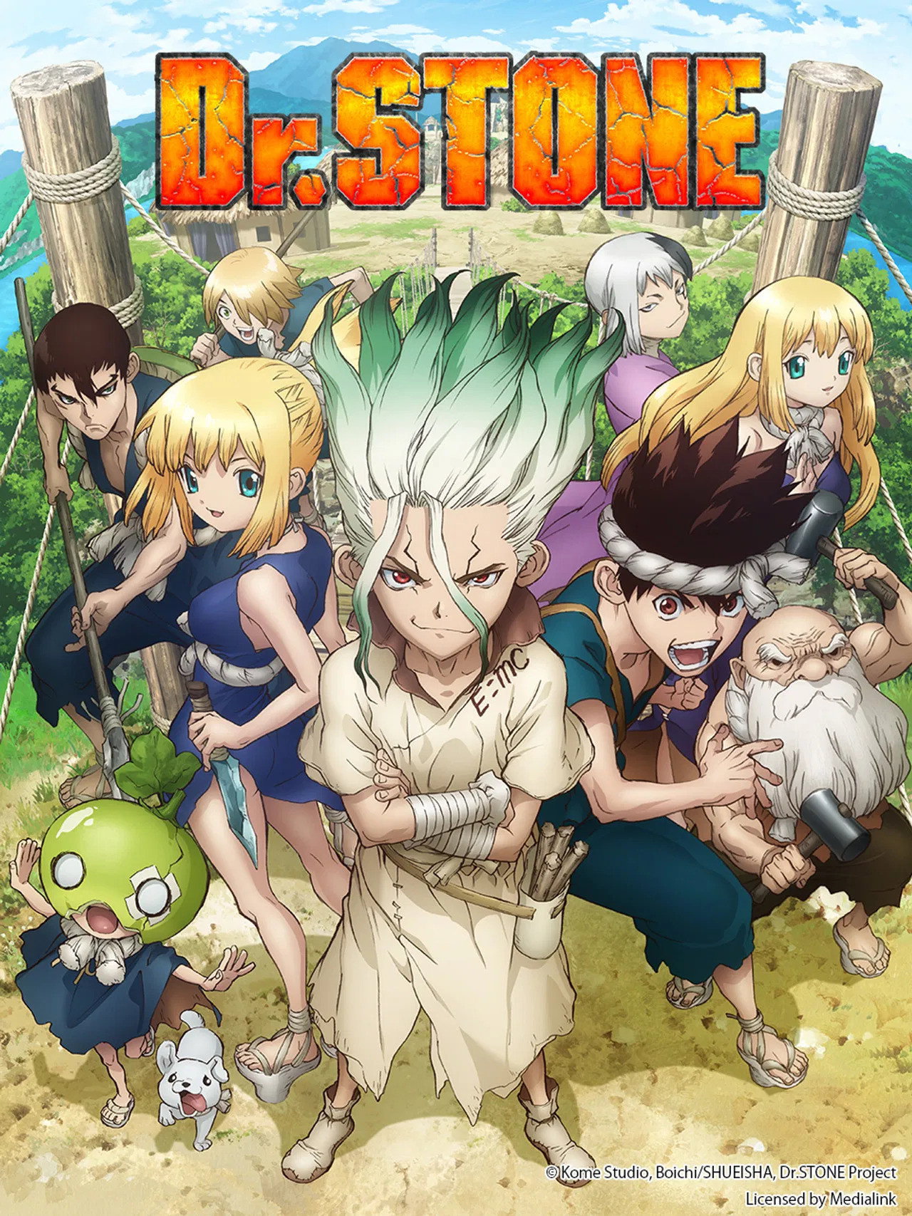 Poster de Dr. Stone