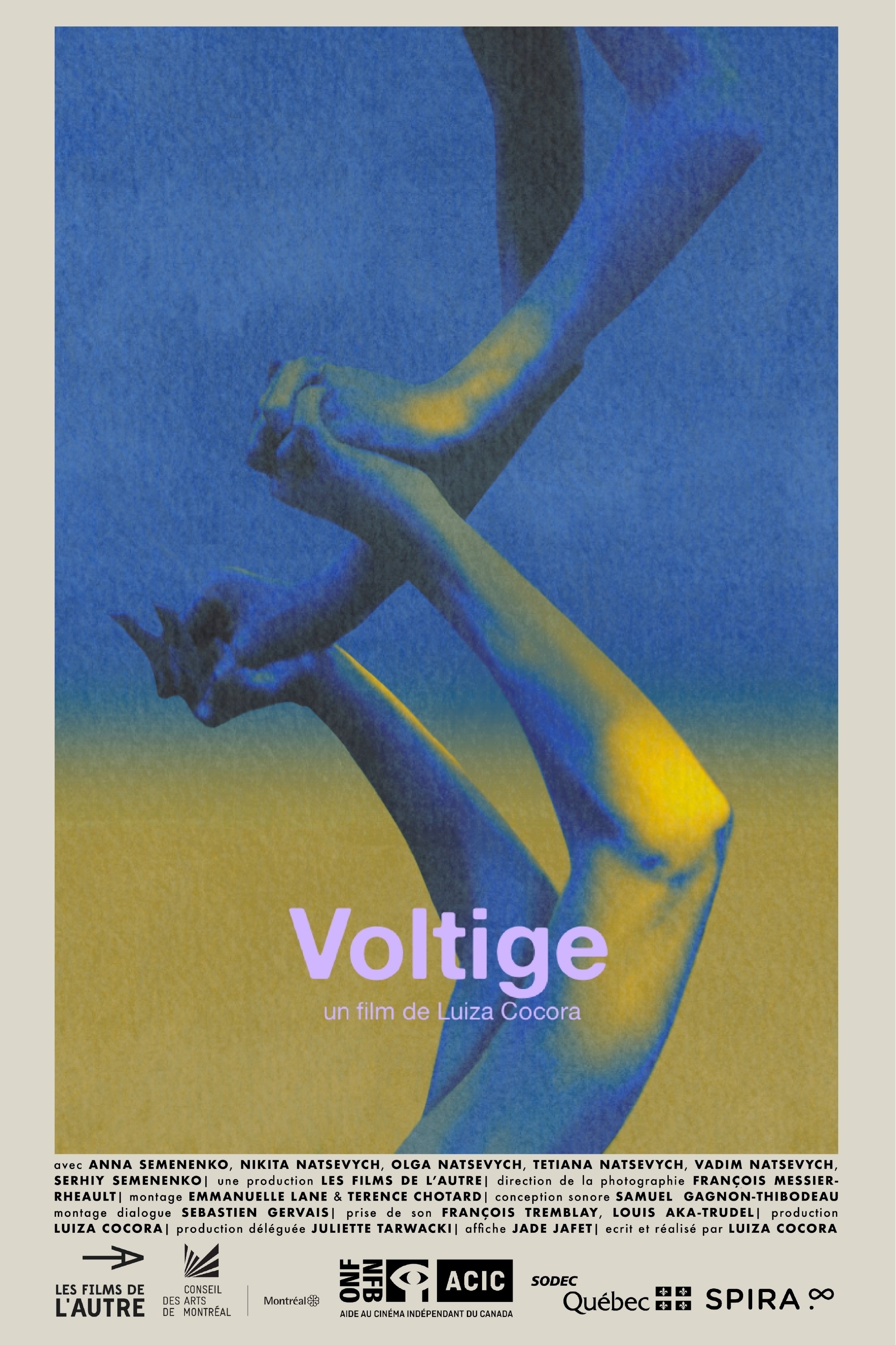 Poster de Voltige